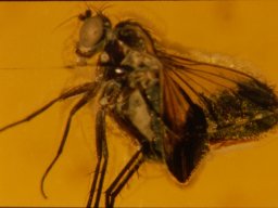 02-b26_copy15_20070216_1917818839