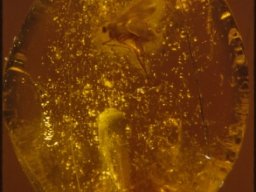 20070216_1959880818_18