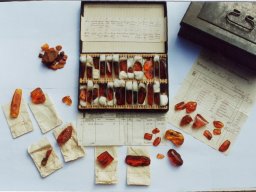 20070217_1102972311_foto-bernstein