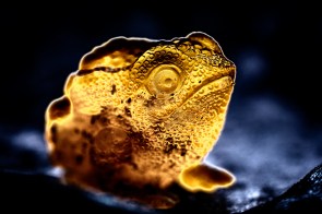 ING00058-Bearbeitet-2